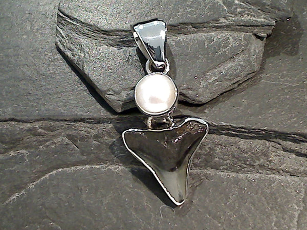 Fossil Shark Tooth, Pearl, Fine Sterling Silver Pendant