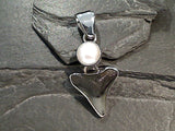 Fossil Shark Tooth, Pearl, Fine Sterling Silver Pendant