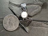 Fossil Shark Tooth, Pearl, Fine Sterling Silver Pendant