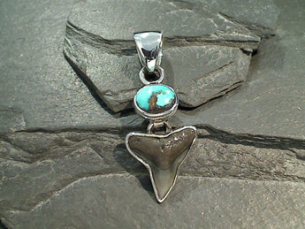 Fossil Shark Tooth, Turquoise, Fine Sterling Pendant