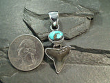 Fossil Shark Tooth, Turquoise, Fine Sterling Pendant