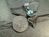 Fossil Shark Tooth, Turquoise, Fine Sterling Pendant