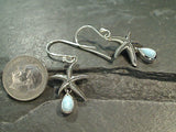 Larimar, Sterling Silver Starfish Earrings