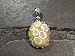 Fossil Coral, Sterling Silver Pendant