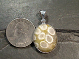 Fossil Coral, Sterling Silver Pendant