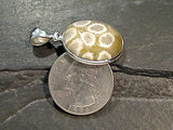 Fossil Coral, Sterling Silver Pendant