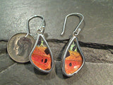 Butterfly Wings, Sterling Silver Earrings - Urania Ripheus