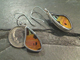 Butterfly Wings, Sterling Silver Earrings - Urania Ripheus