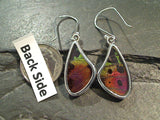 Butterfly Wings, Sterling Silver Earrings - Urania Ripheus
