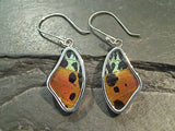 Butterfly Wings, Sterling Silver Earrings - Urania Ripheus