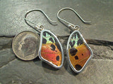Butterfly Wings, Sterling Silver Earrings - Urania Ripheus