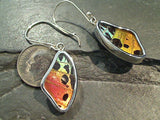 Butterfly Wings, Sterling Silver Earrings - Urania Ripheus