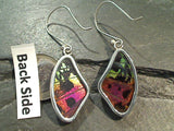 Butterfly Wings, Sterling Silver Earrings - Urania Ripheus