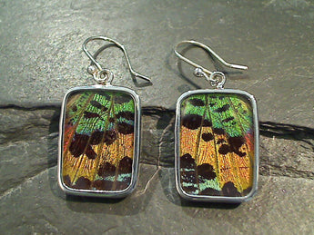 Butterfly Wings, Sterling Silver Earrings - Urania Ripheus