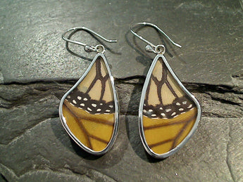 Butterfly Wings, Sterling Silver Earrings - Monarch