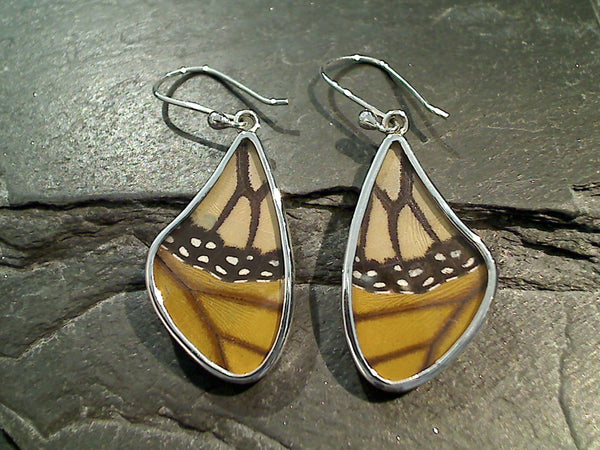 Butterfly Wings, Sterling Silver Earrings - Monarch