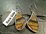 Butterfly Wings, Sterling Silver Earrings - Monarch