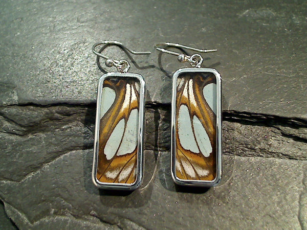 Butterfly Wings, Sterling Silver Earrings - Stelenes