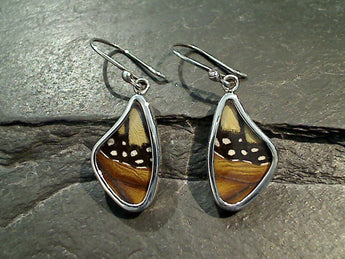 Butterfly Wings, Sterling Silver Earrings - Monarch