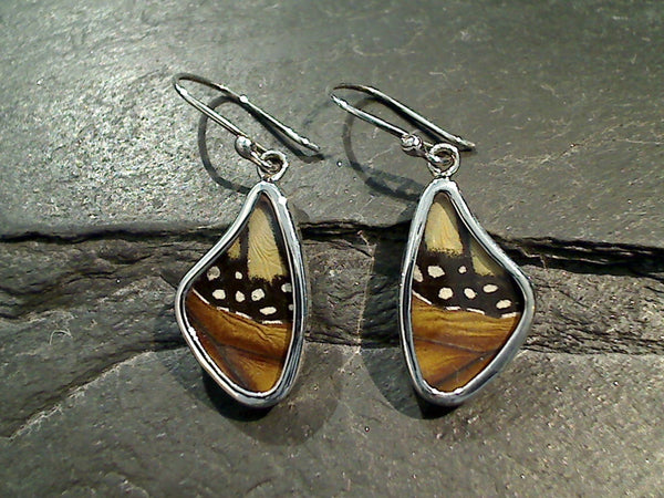 Butterfly Wings, Sterling Silver Earrings - Monarch