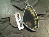 Butterfly Wings, Sterling Silver Large Pendant