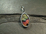 Butterfly Wings, Sterling Silver Small Pendant - Urania Ripheus
