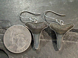 Fossil Shark Tooth, Fine Sterling Silver Earrings
