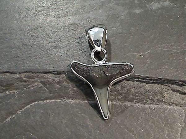 Fossil Shark Tooth, Fine Sterling Silver Pendant