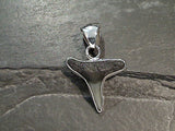 Fossil Shark Tooth, Fine Sterling Silver Pendant