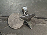 Fossil Shark Tooth, Fine Sterling Silver Pendant