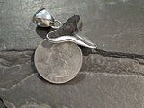 Fossil Shark Tooth, Fine Sterling Silver Pendant