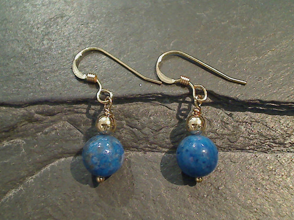Sodalite, Gold Filled Earrings