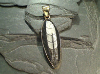 Fossil Orthoceras, Alchemia Pendant