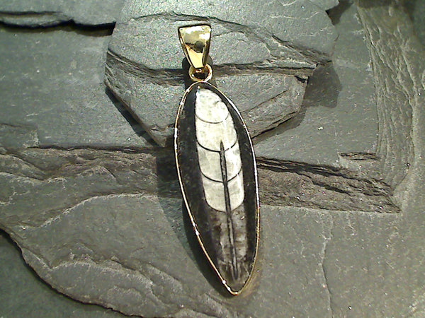 Fossil Orthoceras, Alchemia Pendant