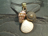 Alchemia Three Sea Shells Pendant
