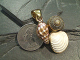 Alchemia Three Sea Shells Pendant
