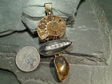 Fossil Ammonite, Orthoceras, Amber, Alchemia Extra Large Pendant
