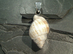 Sea Shell, Fine Sterling Silver Thick Pendant