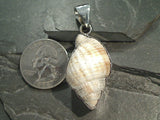 Sea Shell, Fine Sterling Silver Thick Pendant