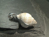 Sea Shell, Fine Sterling Silver Thick Pendant