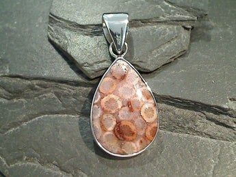 Fossil Coral, Fine Sterling Silver Pendant