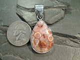 Fossil Coral, Fine Sterling Silver Pendant