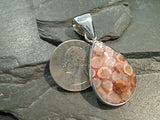 Fossil Coral, Fine Sterling Silver Pendant