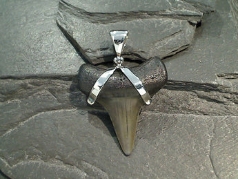 Fossil Shark Tooth, Sterling Silver Pendant