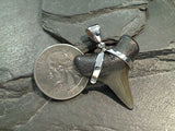 Fossil Shark Tooth, Sterling Silver Pendant