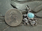 Larimar, Sterling Silver Turtle Family Pendant