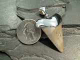 Fossil Shark Tooth, Sterling Silver Pendant