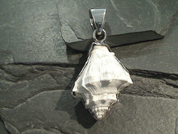 Charles Albert Jewelry