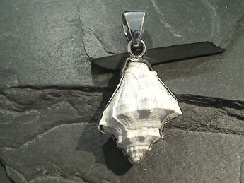 Fossilized Shell, Fine Sterling Silver Thick Pendant