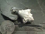 Fossilized Shell, Fine Sterling Silver Thick Pendant